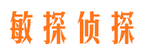 宁晋商务调查